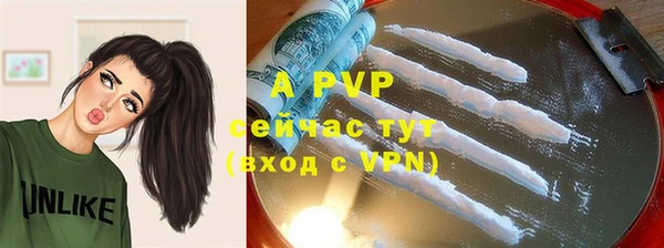 молекула духа Аркадак