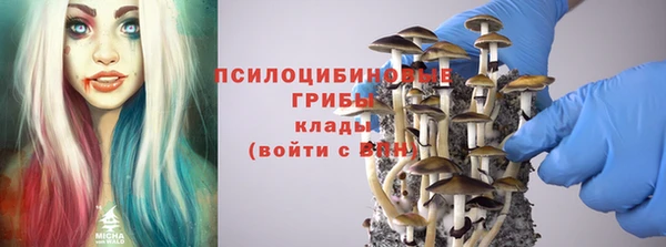 молекула духа Аркадак