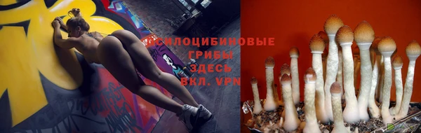 молекула духа Аркадак