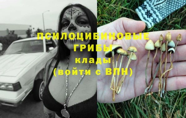 МДПВ Арсеньев
