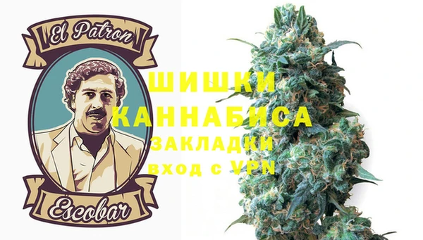 молекула духа Аркадак