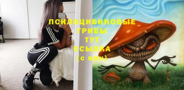 МДПВ Арсеньев