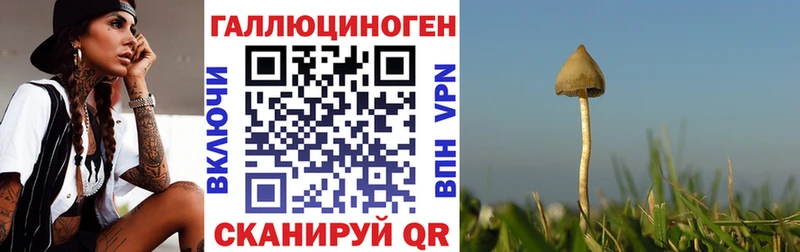 ОМГ ОМГ вход  Сосногорск  Псилоцибиновые грибы ЛСД  купить  